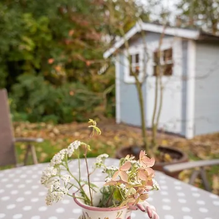 Am Deich Holiday home
